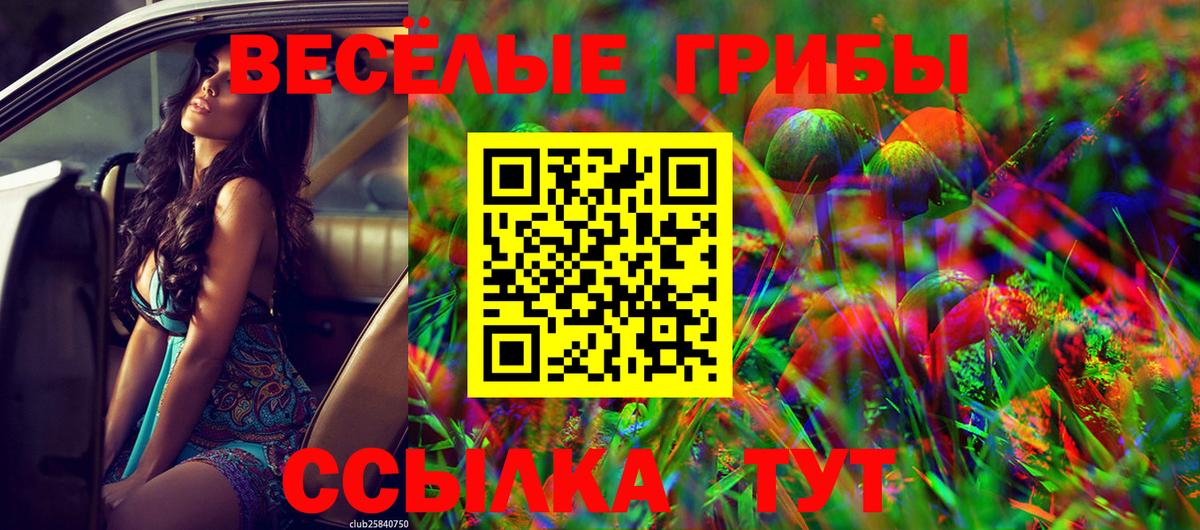 Галлюциногенные грибы MAGIC MUSHROOMS  Вход с VPN  Истра  Псилоцибиновые грибы Psilocybe 