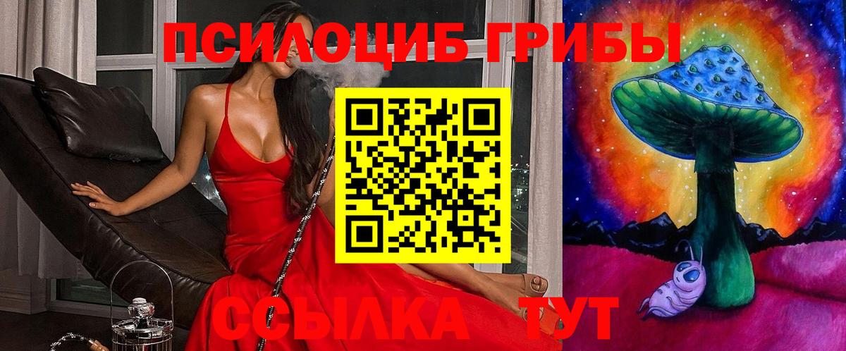 Галлюциногенные грибы прущие грибы Истра